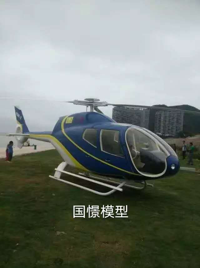 霸州市飞机模型