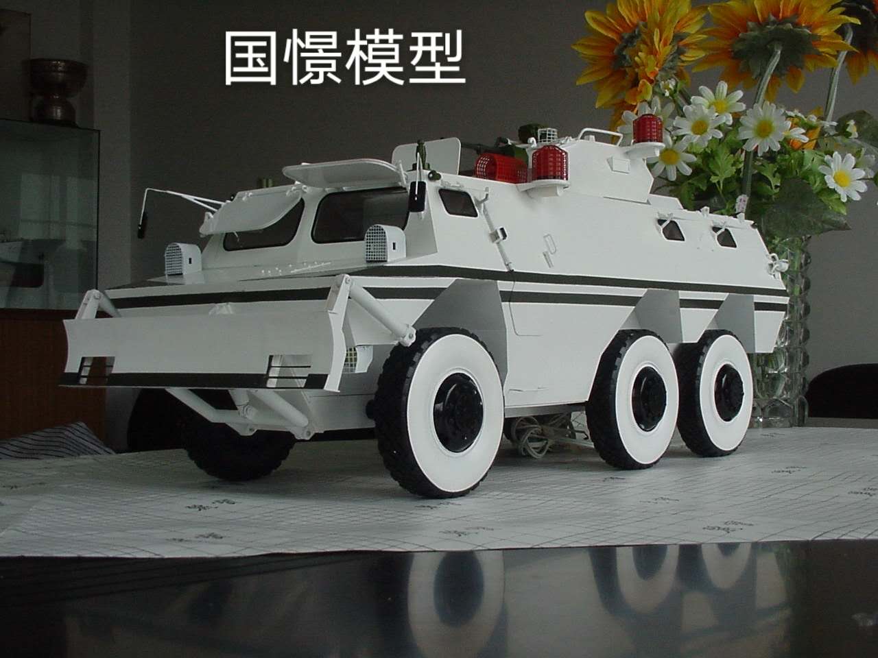 霸州市军事模型